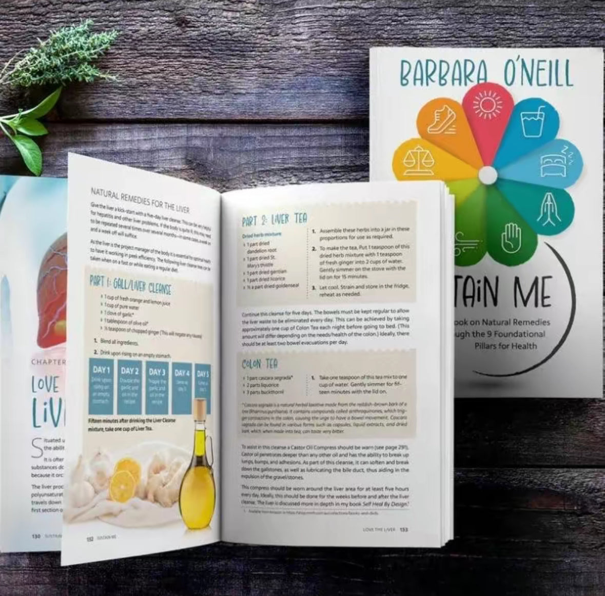 St. Patricks Day Sale - Sustain Me by Barbara O'Neill Book (Paper Back)