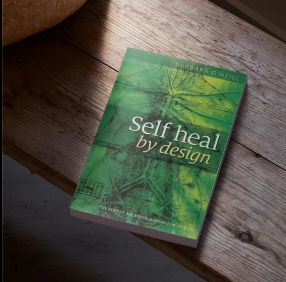 Self Heal by Barbara O'Neill Book