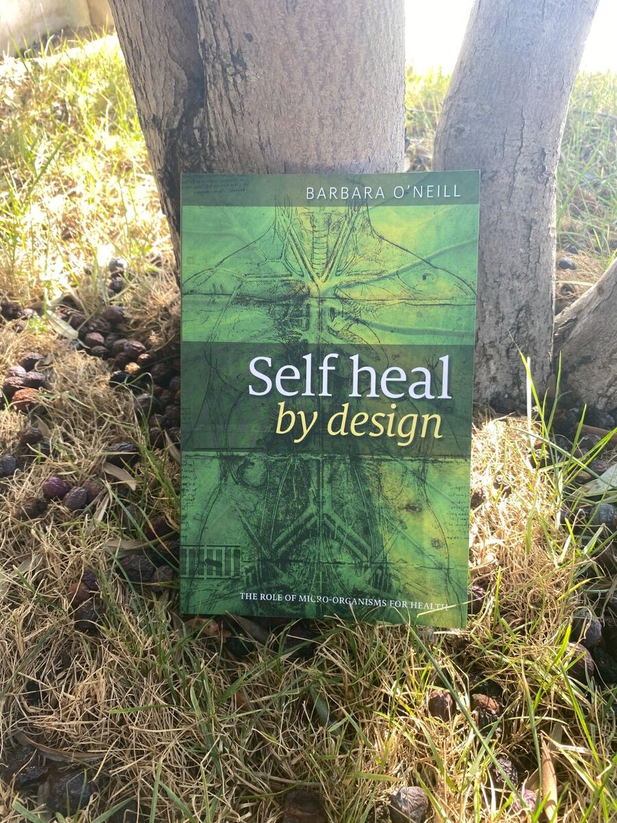 Self Heal by Barbara O'Neill Book
