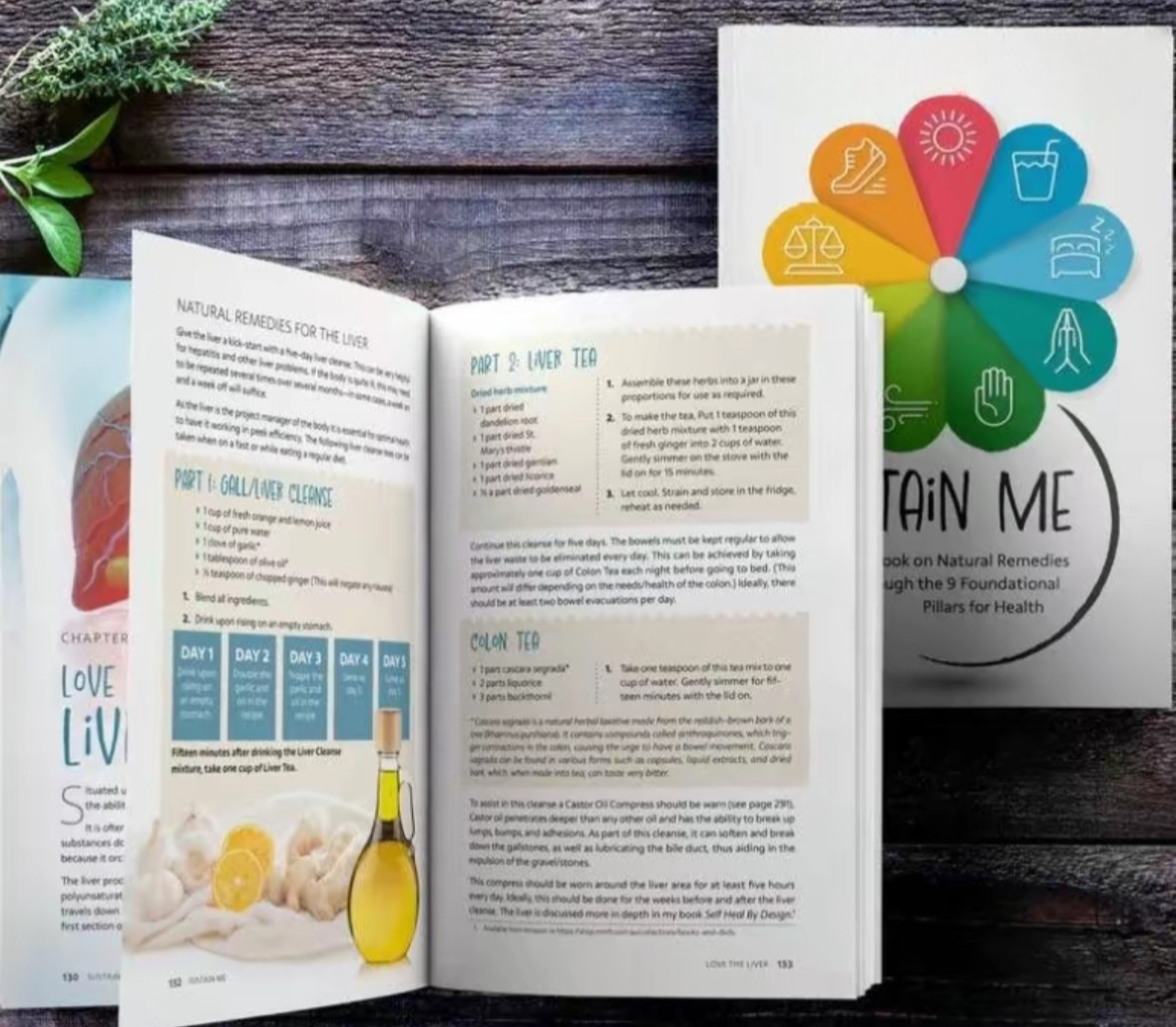 Sustain Me Book paperback